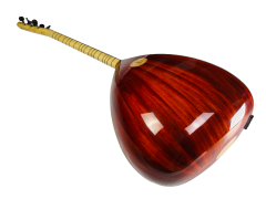 Patok Klavyeli Kısa Sap Bağlama