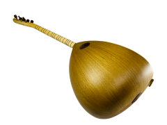 Zebrana Kısa Sap Bağlama